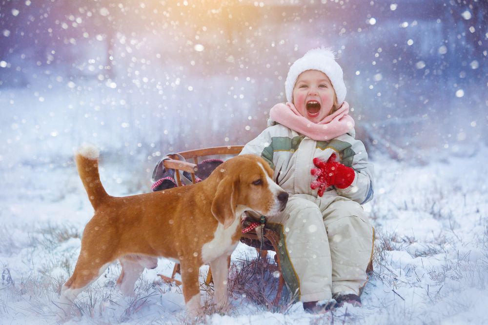 Фотография автора Katerina Mumzhinskaya