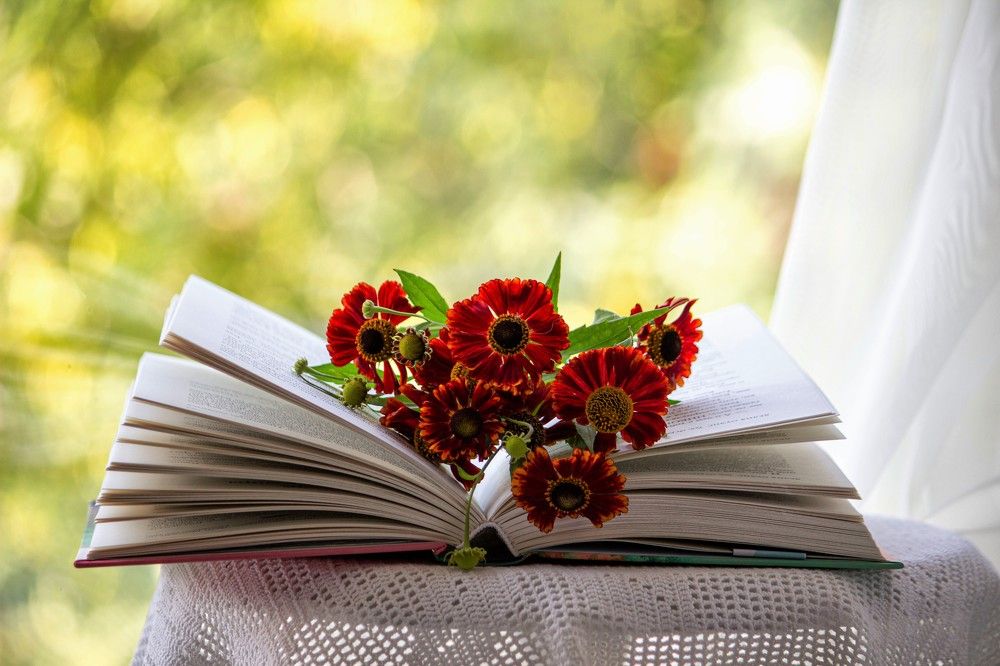 Photograph by Александра Шайдурова