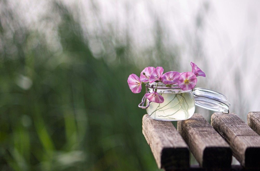 Photograph by Александра Шайдурова