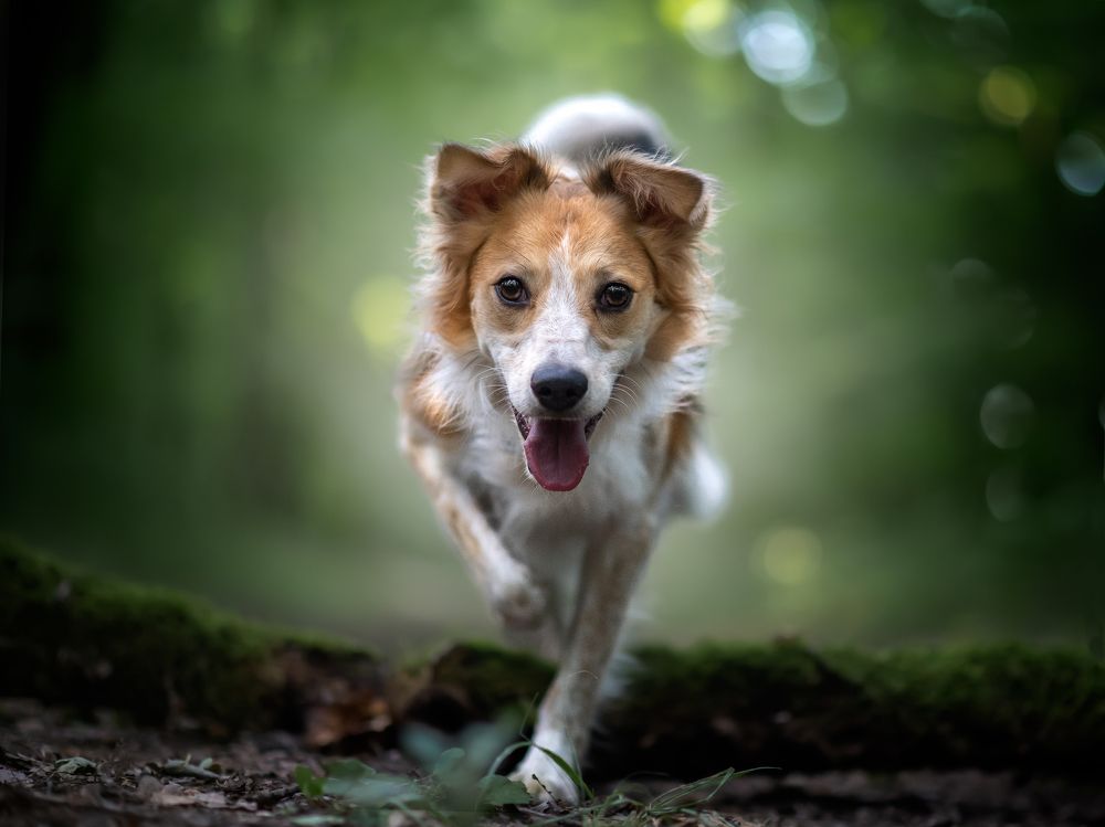 Photograph by Jakub Kudlovsky