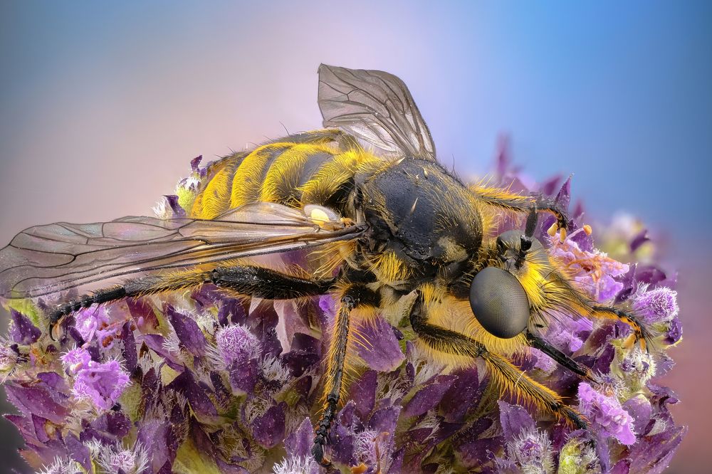 Photograph by Антон Орленко