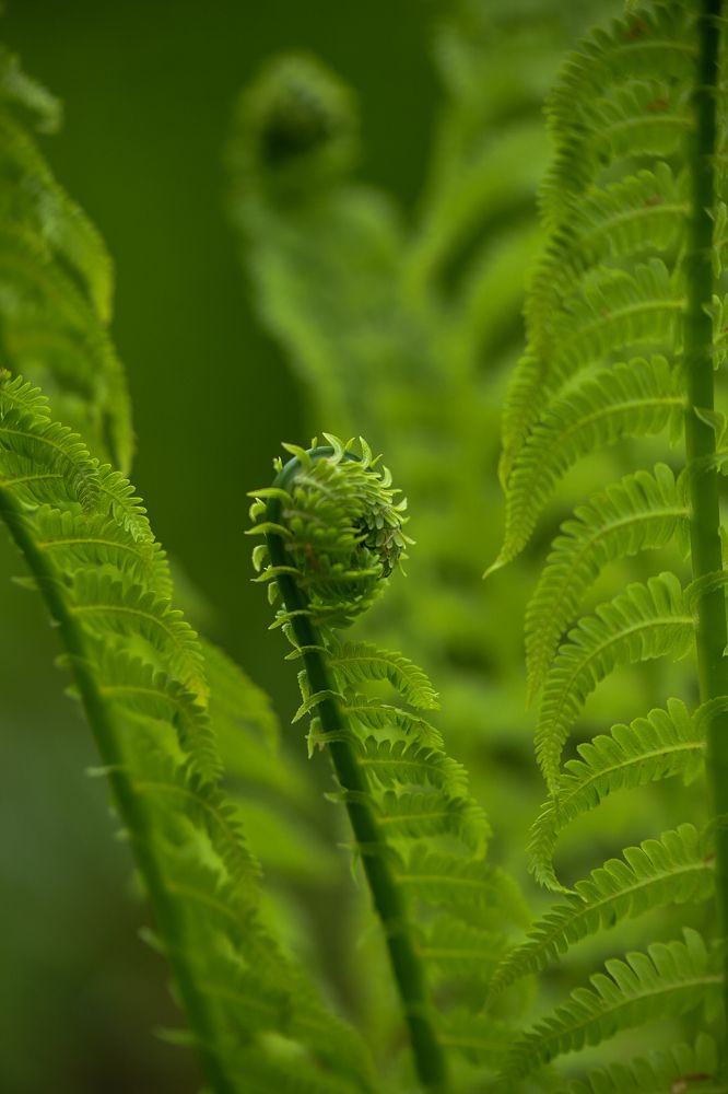 Photograph by Захар Петров