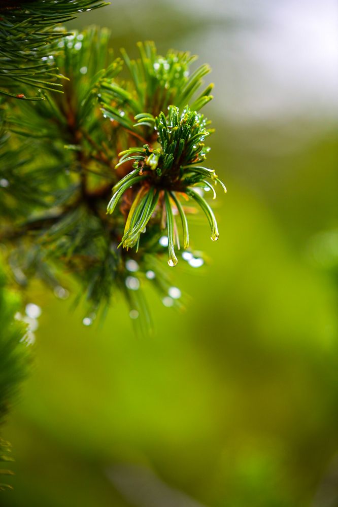 Photograph by Захар Петров