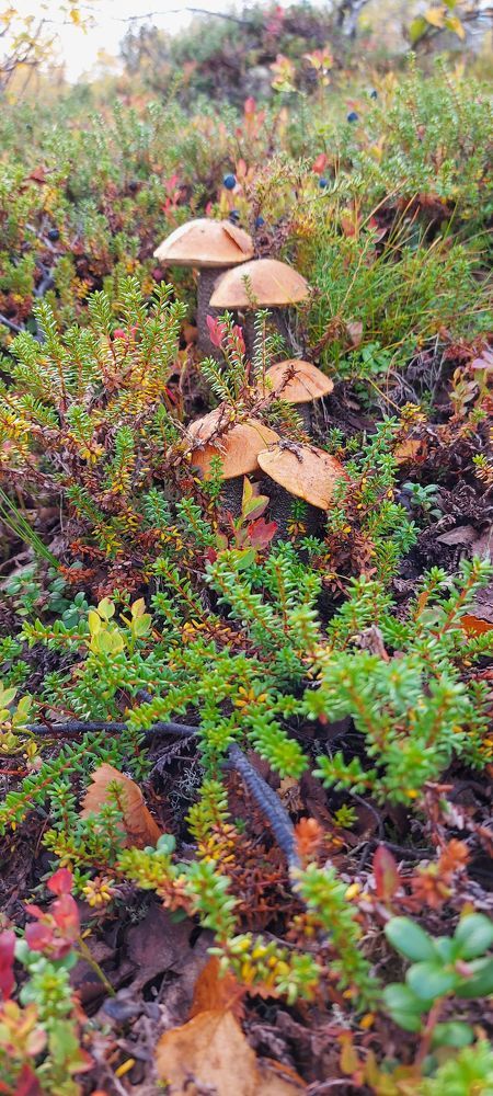 Photograph by Андрей