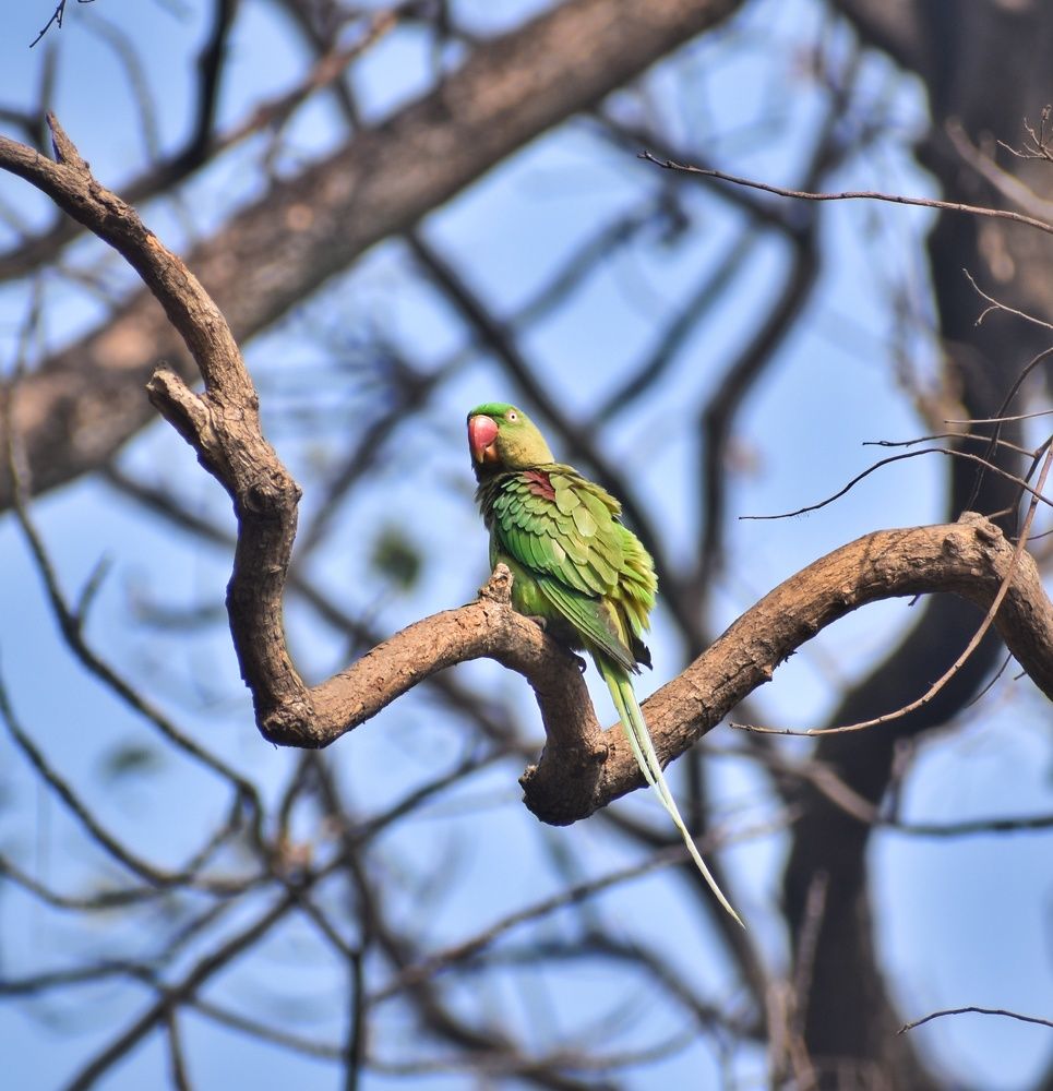 Photograph by Annwaina Deb