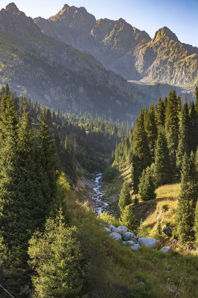 Photograph by stanislav anastasiev