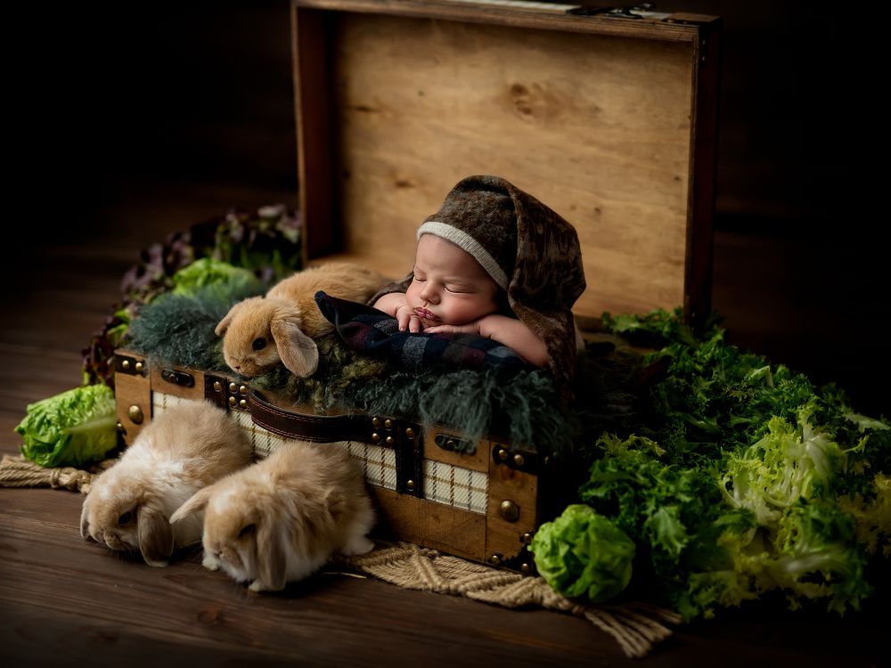 Photograph by Iryna Semeniuk