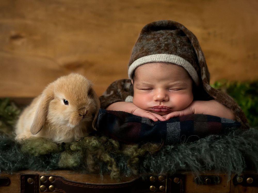 Photograph by Iryna Semeniuk