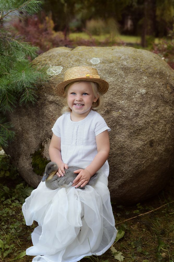 Утиные истории.