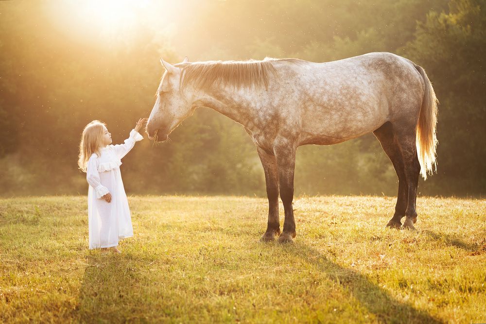 На рассвете