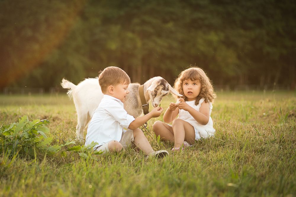 Дети и козлёнок