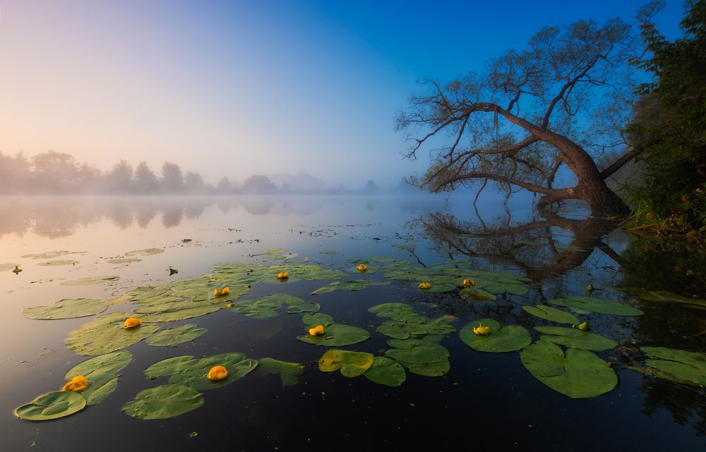 Photograph by Андрей Олонцев