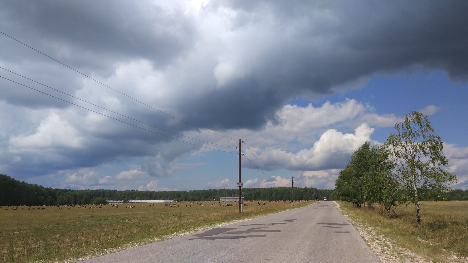 Photo #6391768