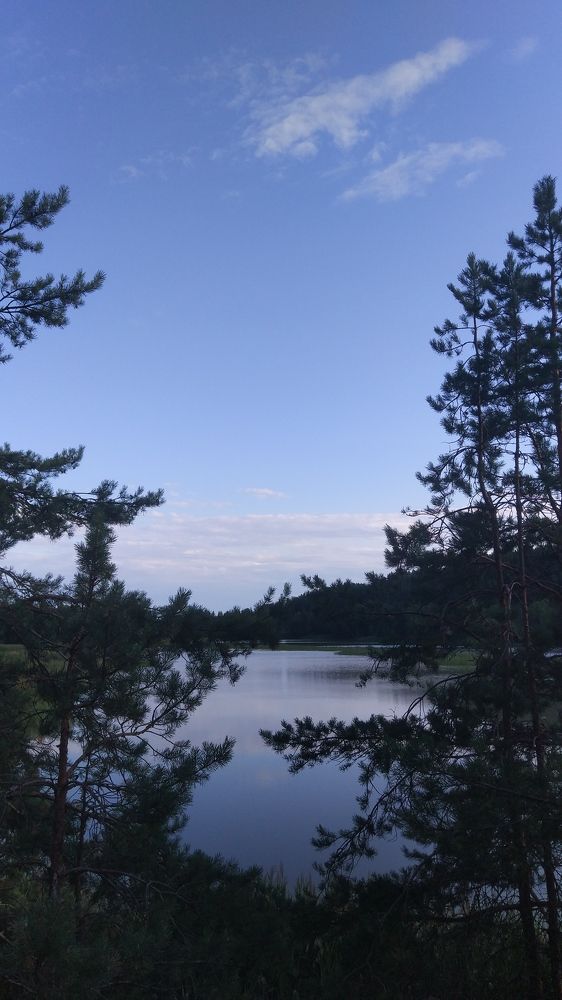 Photo #6391769