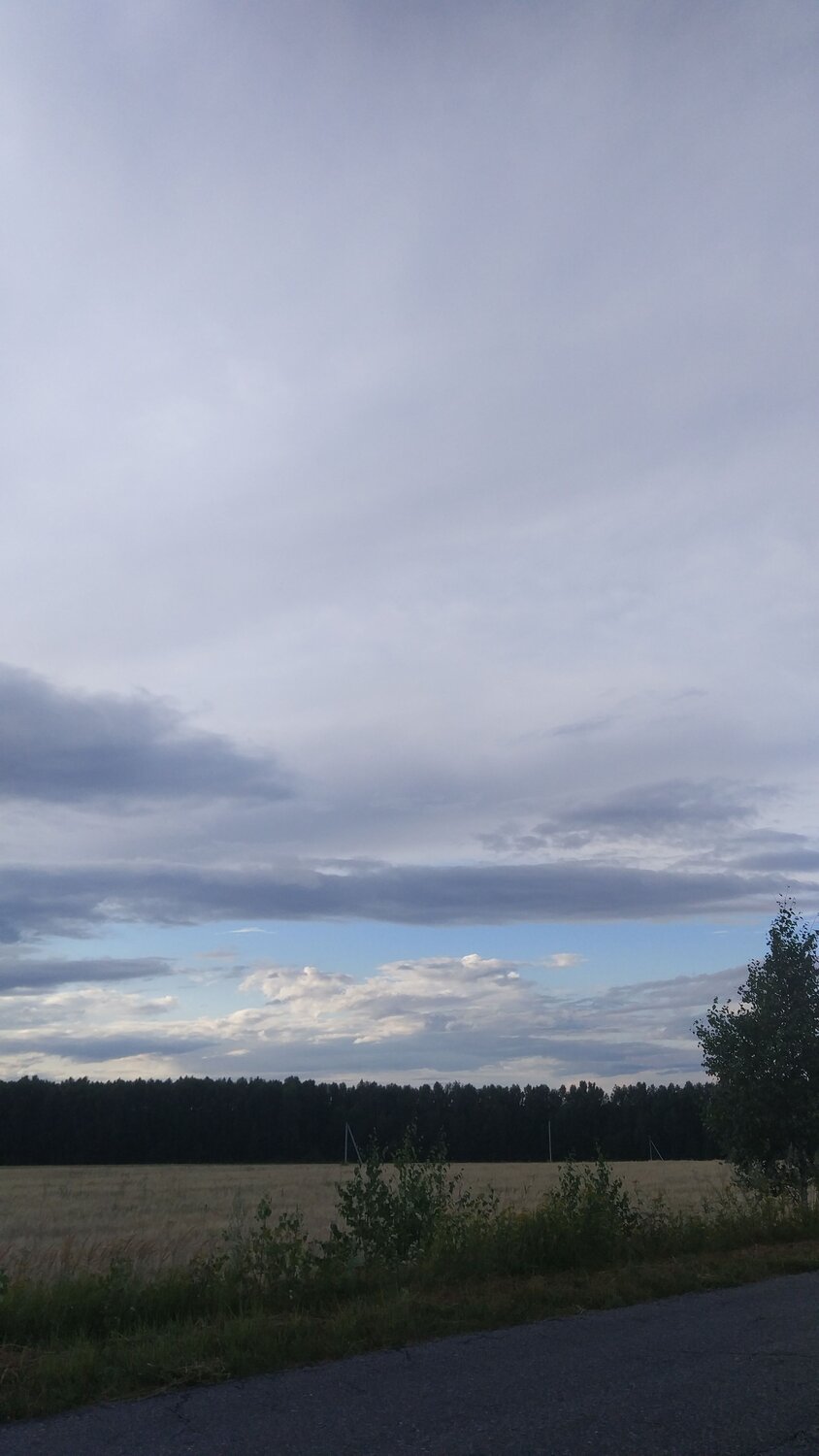 Photo #6391771