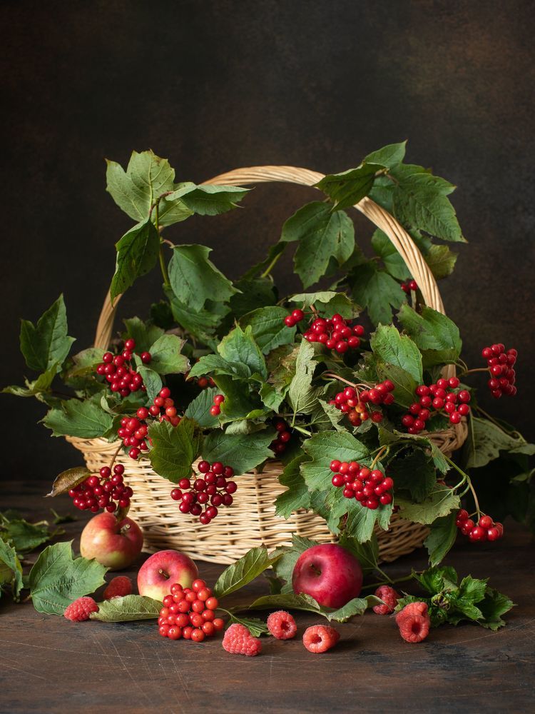 Фотография автора Мария Сурмачева