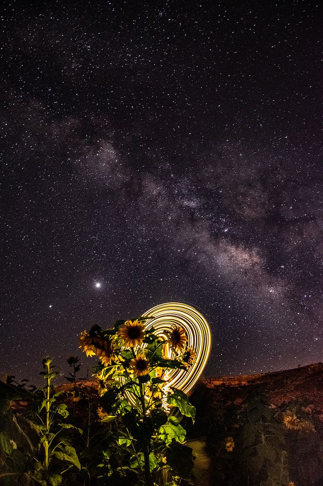 Photograph by Eslami nia Abolfazl