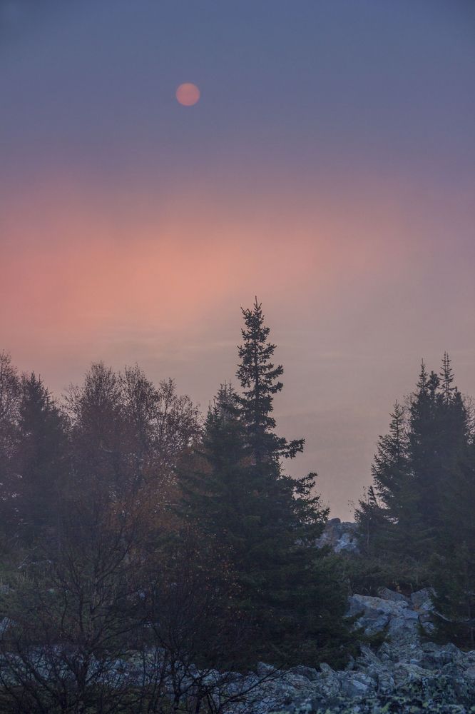 Photograph by Елена Перминова