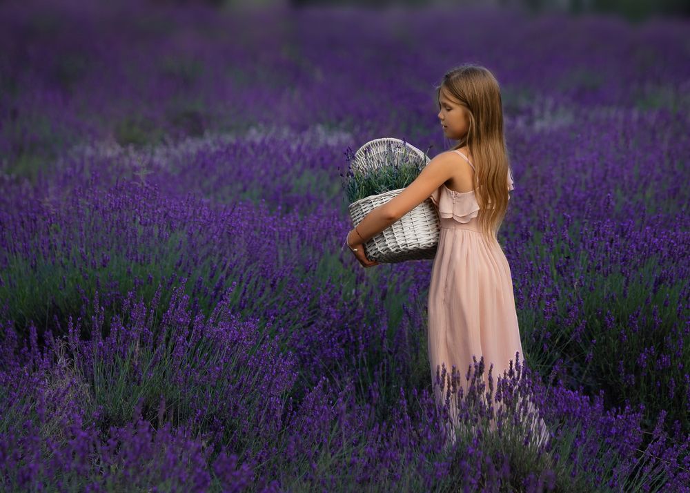 The first time on the lavender meadow