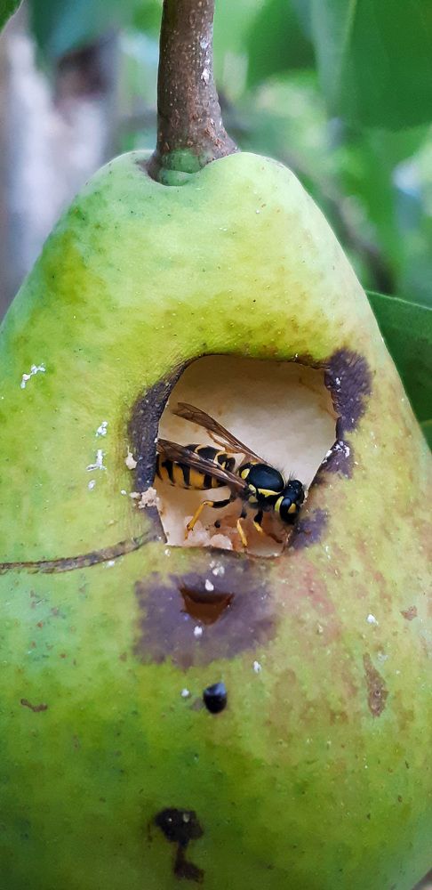 Фотография автора Александра Карпикова