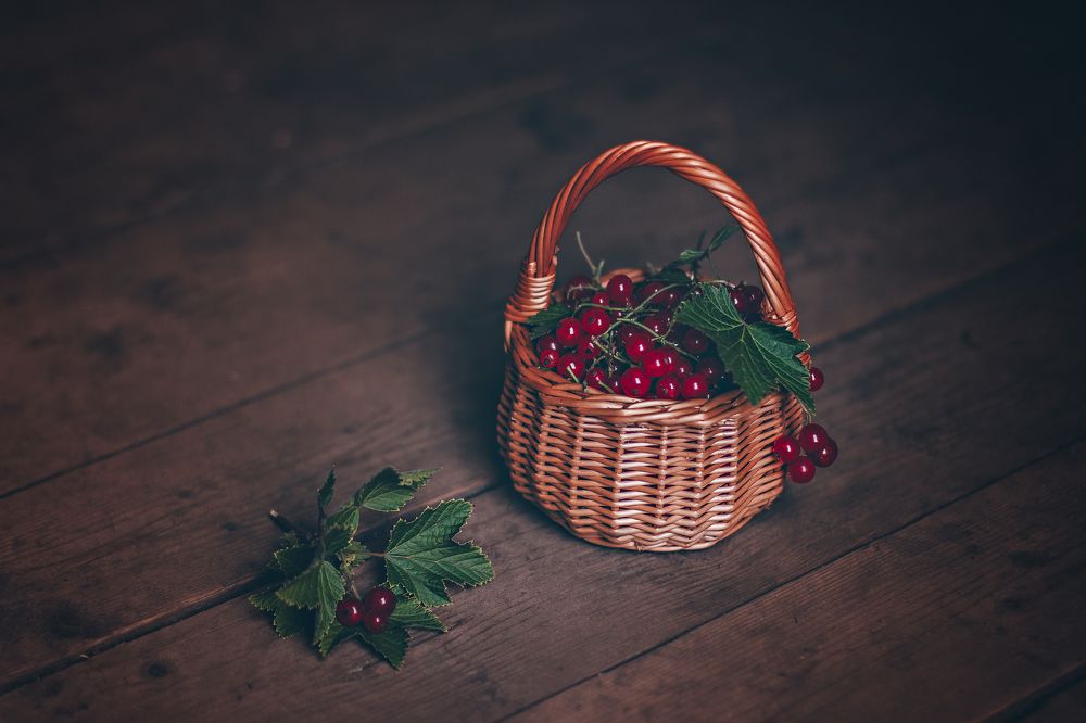 Photograph by Анна Кесарева