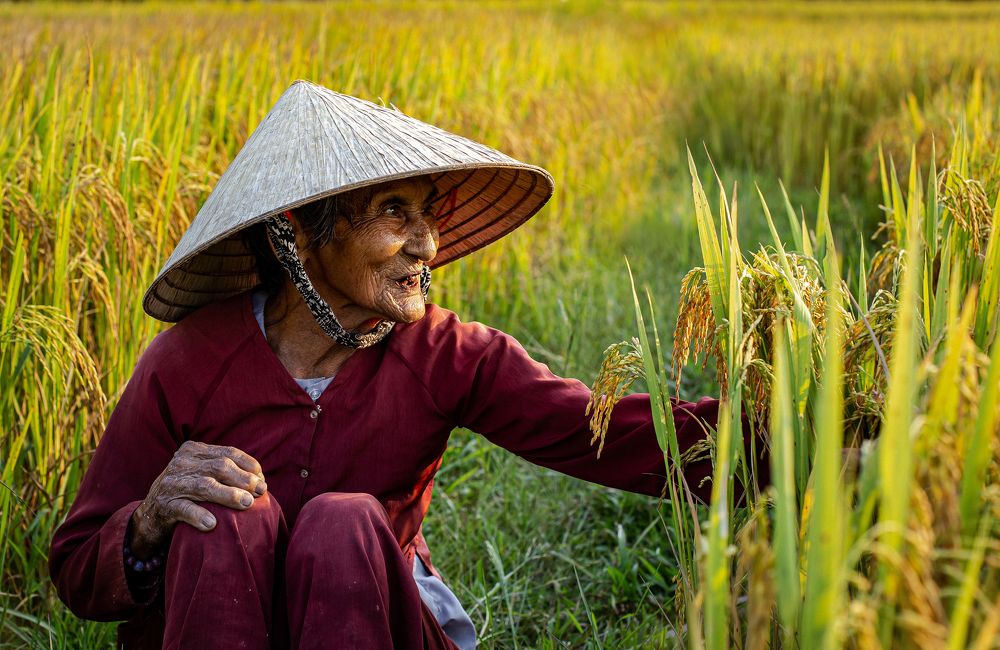 Фотография автора Võ Văn Tiến