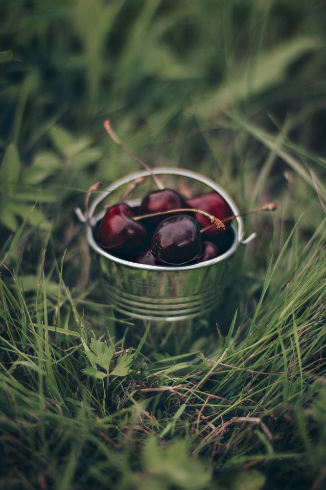 Photograph by Анна Кесарева