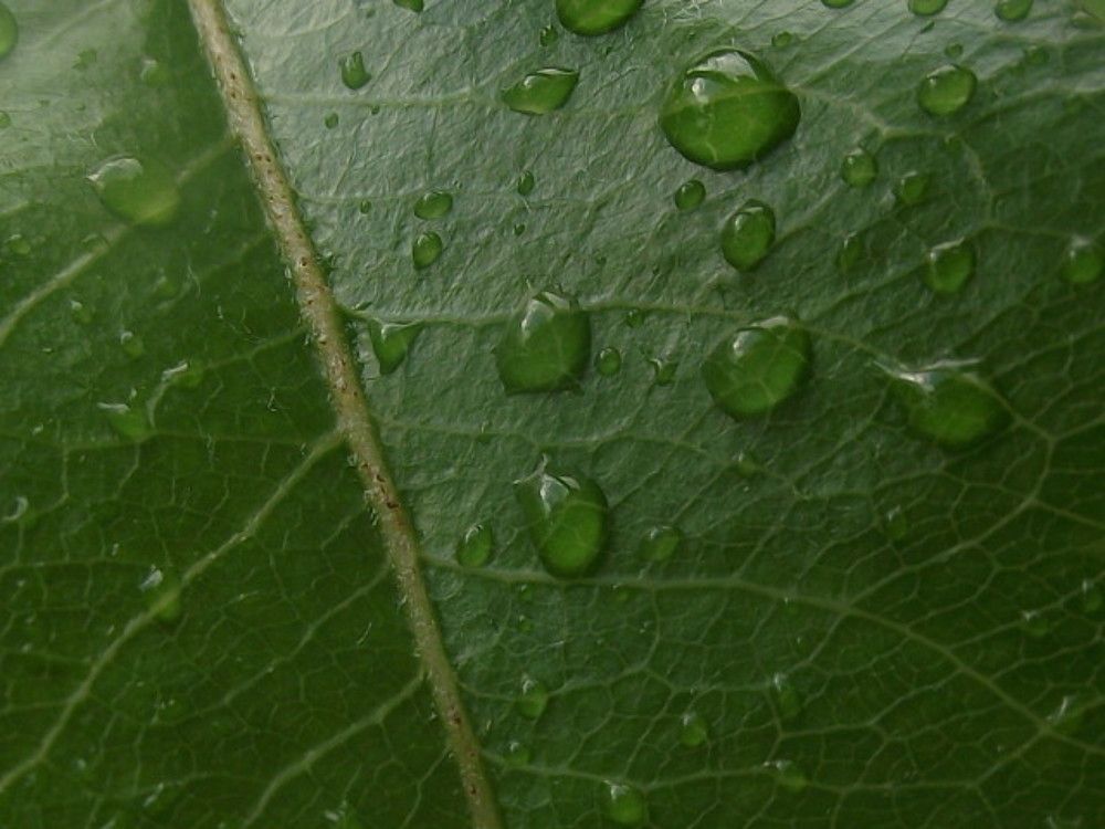 Photo #6392134