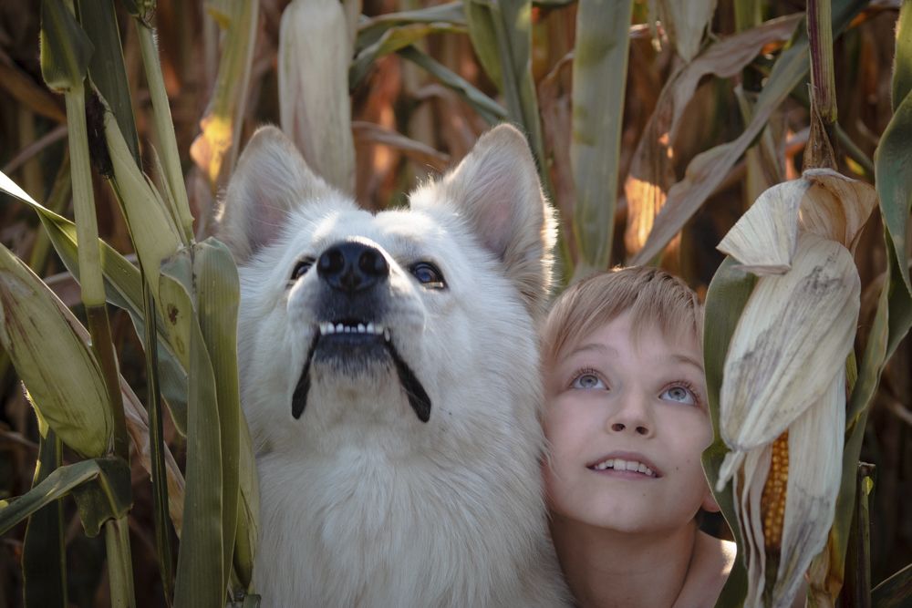 Photograph by Валерия Гончарова-Горобченко