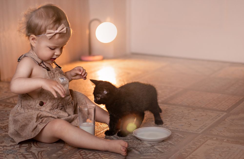 Фотография автора Наталья Иванова