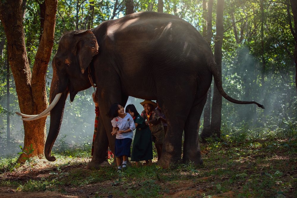 Photograph by SUTIPOND SOMNAM