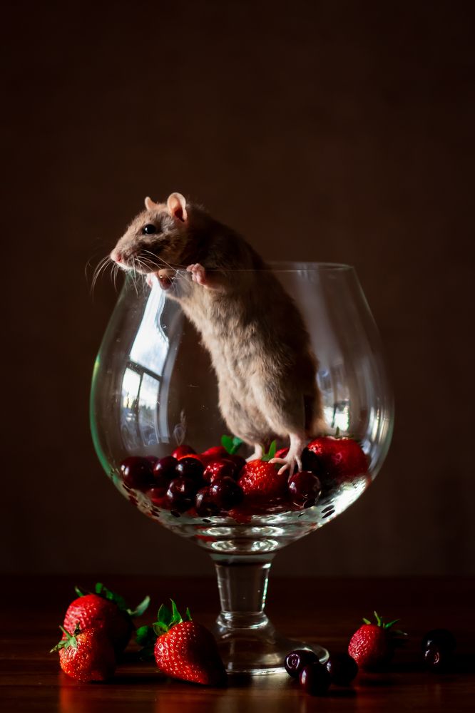 Photograph by Алёна Газукина