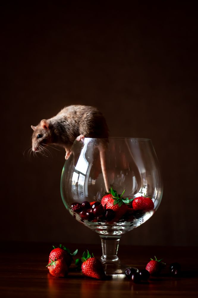 Photograph by Алёна Газукина