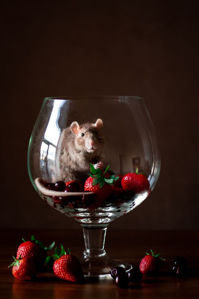 Photograph by Алёна Газукина