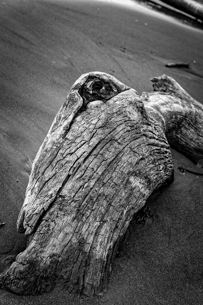 Photograph by Захар Петров