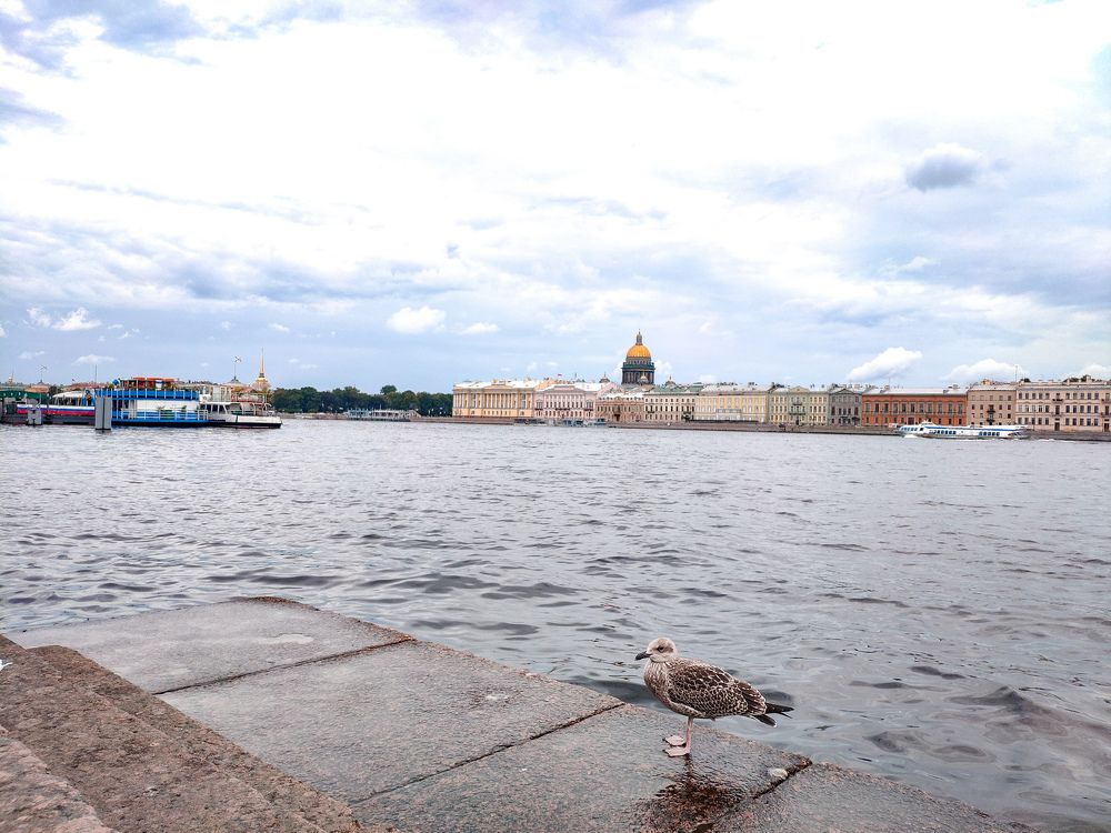 Photograph by Дмитрий Малышев