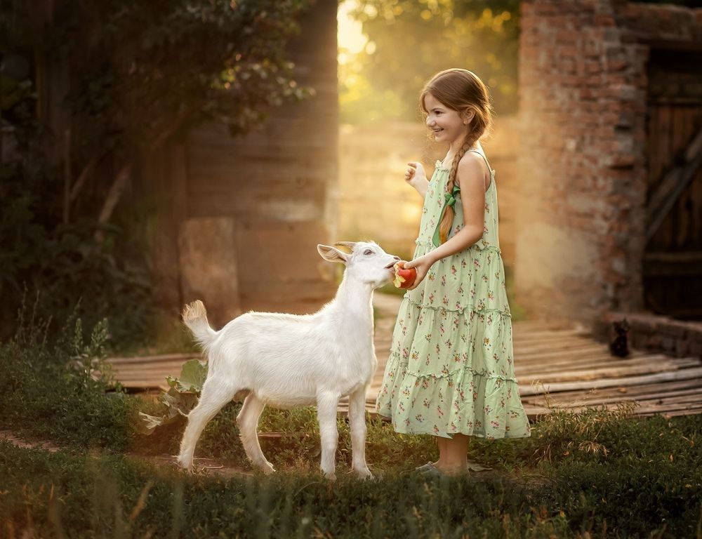 Photograph by Елена Алешечкина