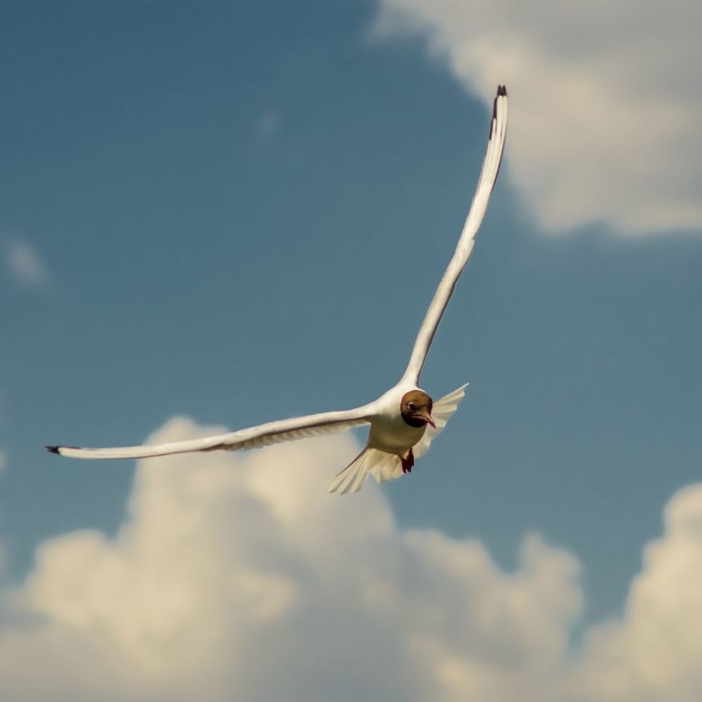 Photograph by Сергей Кузнецов