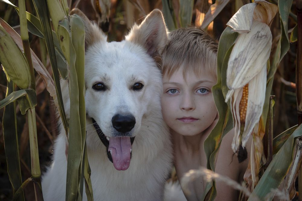 Photograph by Валерия Гончарова-Горобченко