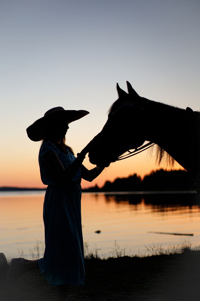 Шляпный силуэт