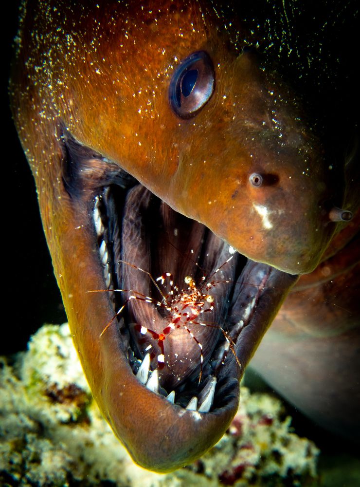 Photograph by Alexander Plakida