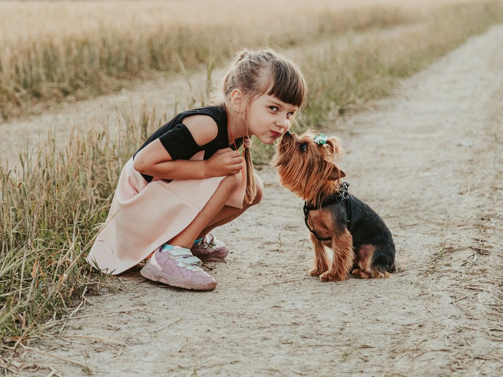 Дети и собаки такие искренние