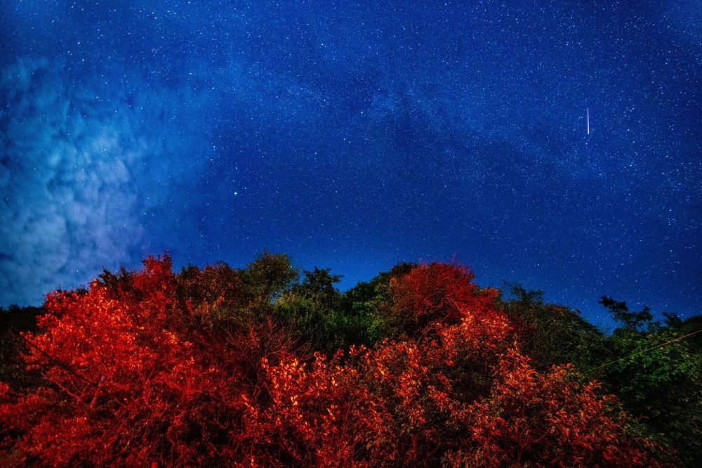 Photograph by Giga Kokoladze