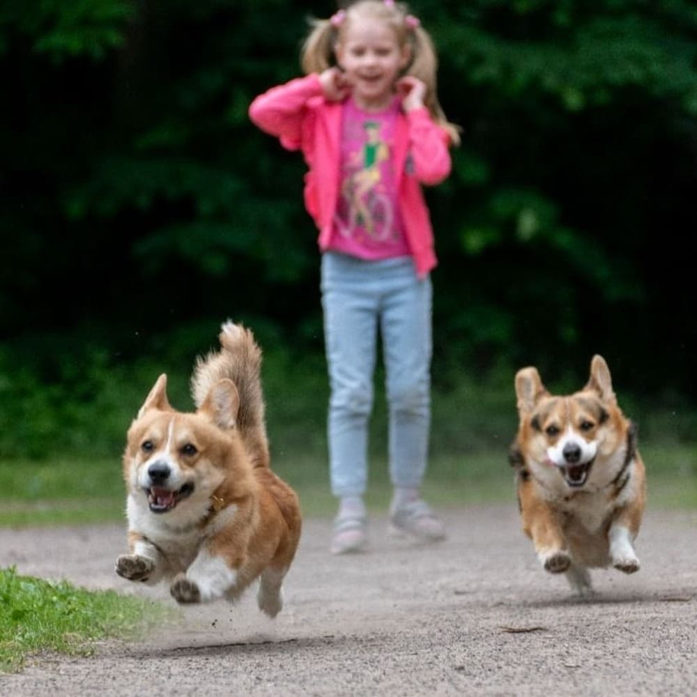 Photograph by Сергей Кузнецов