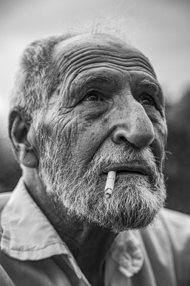 Photograph by Mohammadreza Majlesifar