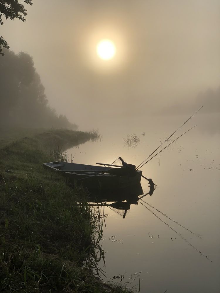 Фотография автора Наталья Васько -Черданцева
