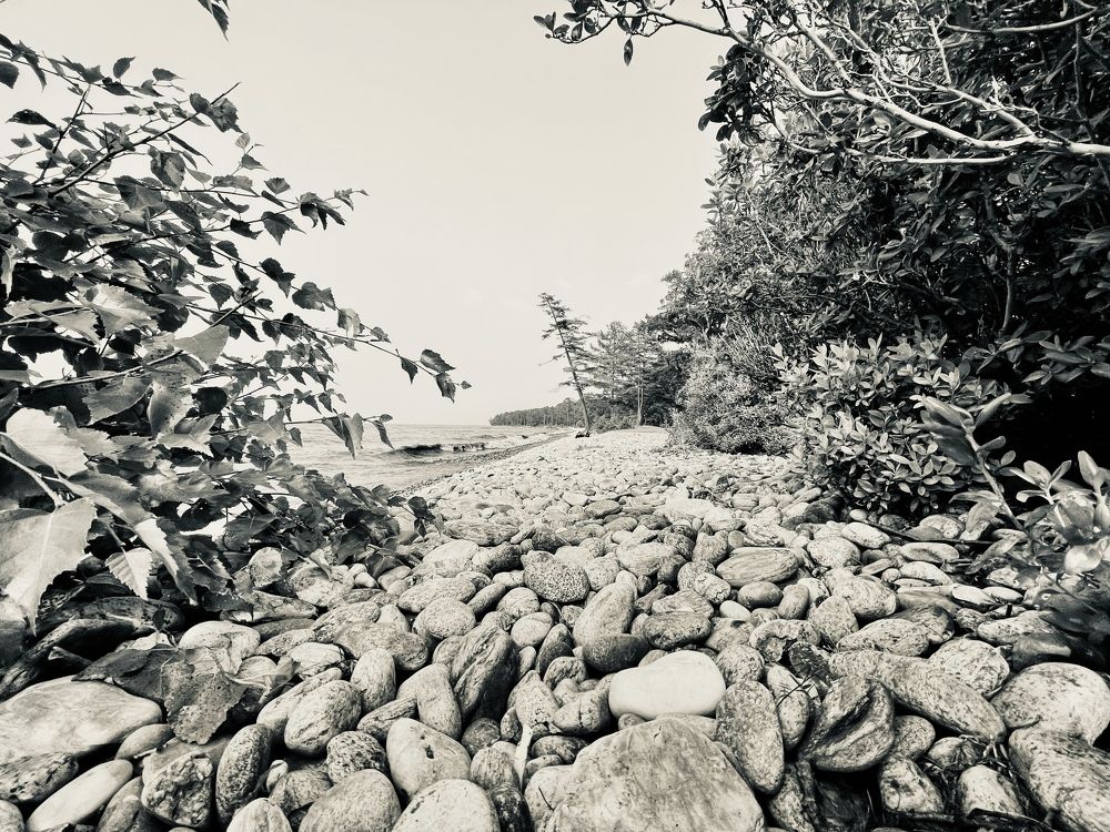 Photograph by Владислав Бессмертных