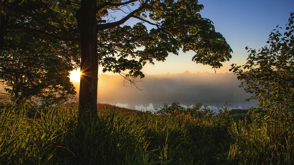 Туманный рассвет на реке Волге!!!