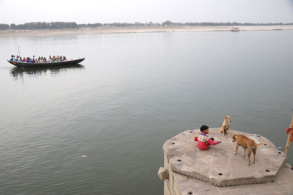 BOY AND HIS SREET PETS