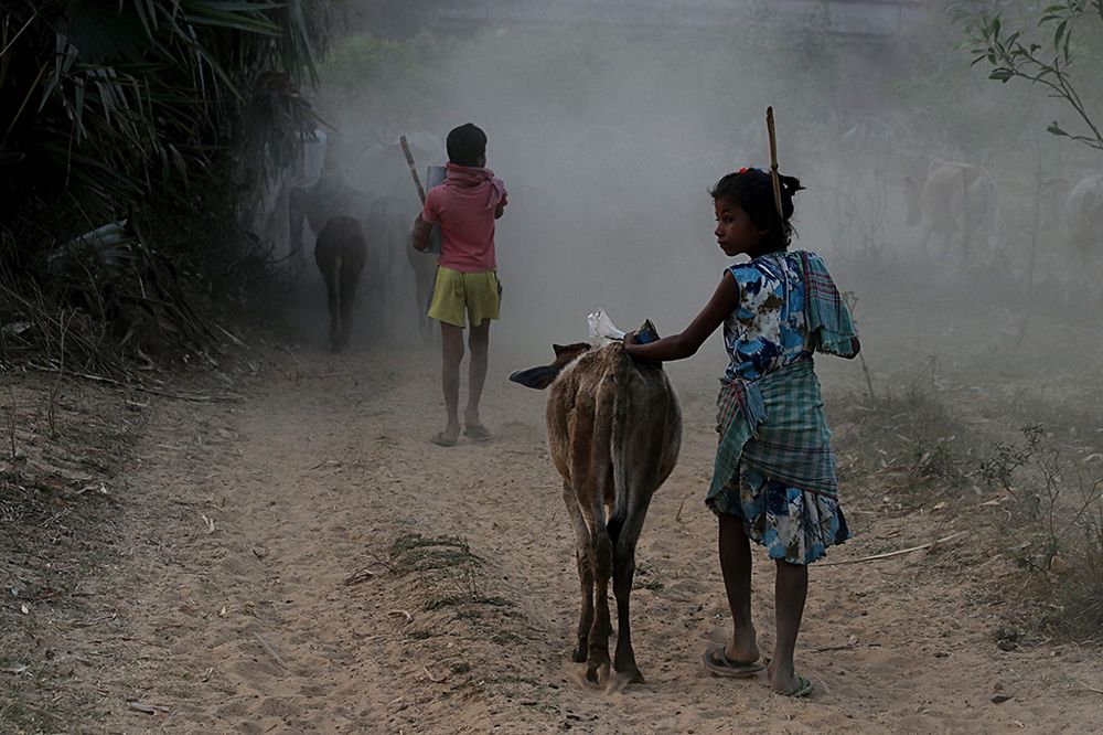 GIRL WITH HER DOMESTIC